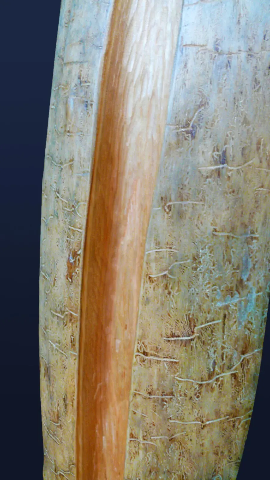 Collector's Edition Low C flute with Snake Inlay — product photo
